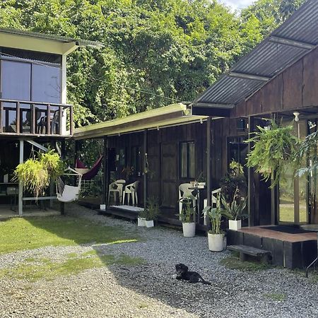 Casa Morpho Uvita Guesthouse Eksteriør billede