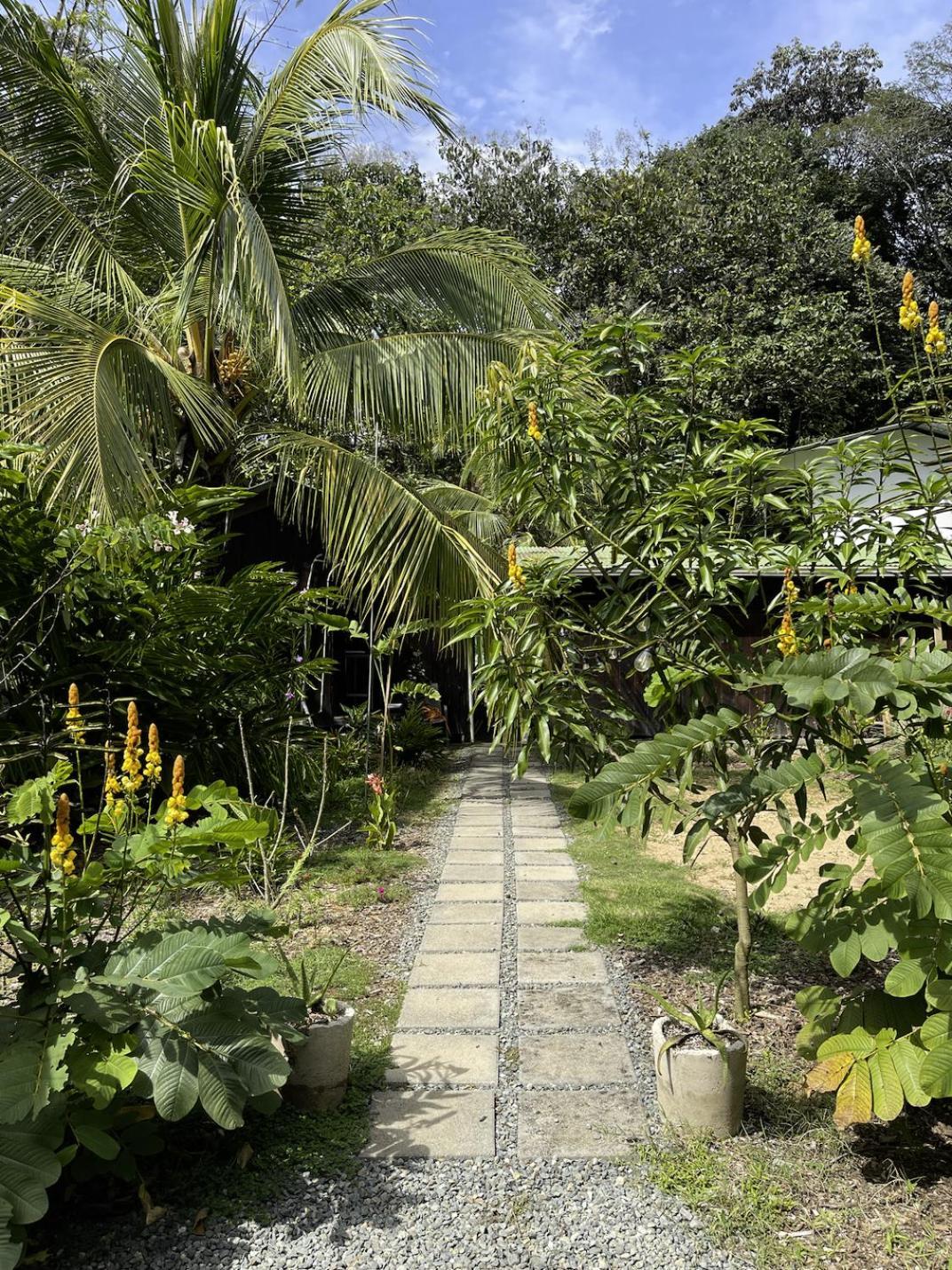 Casa Morpho Uvita Guesthouse Eksteriør billede